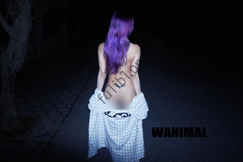 WANIMAL人体写真 官方出品 3月-9月VIP套图高清原版合集[512P+3V/9.14G]