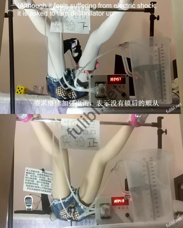 [推荐]SM调教&露出团体@援器协会 作品合集[4P+4V/1.07G]