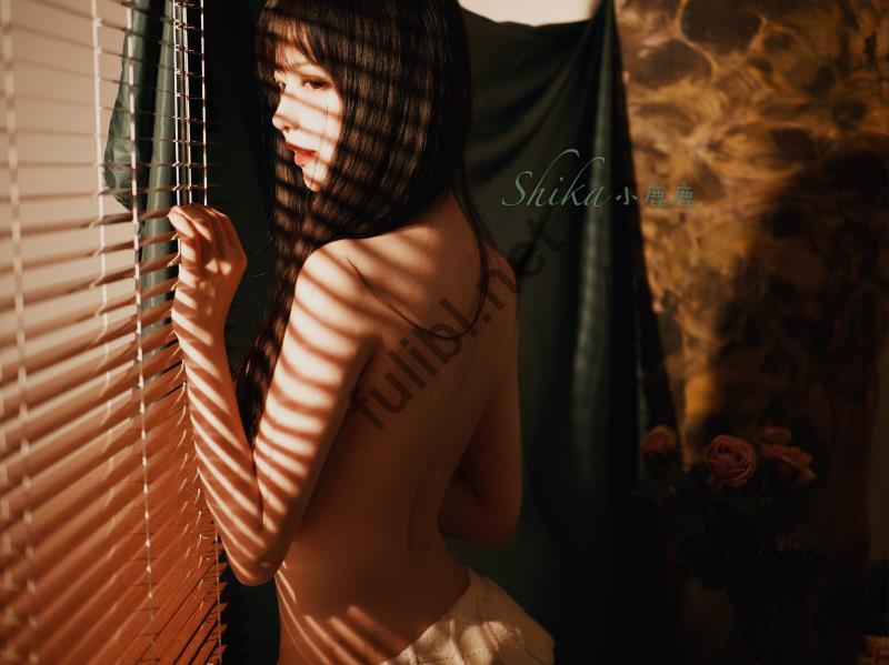 高颜值coser@Shika小鹿鹿 35套无修正合集[875P/4.69G]