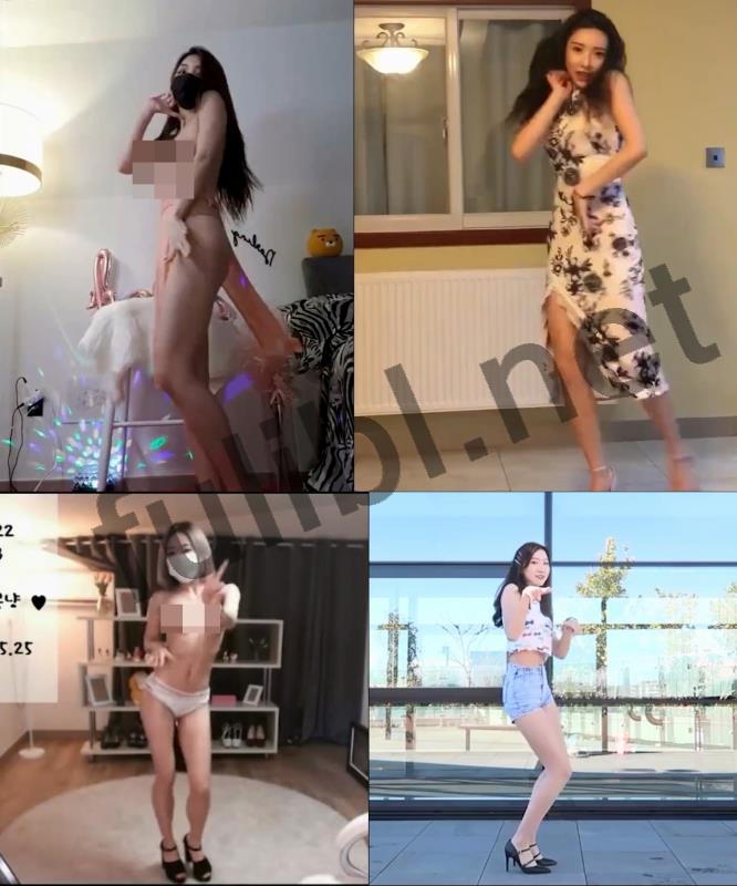 喜闻乐见系列第115弹之 用B站的画风打开裸舞[67V/2.62G]