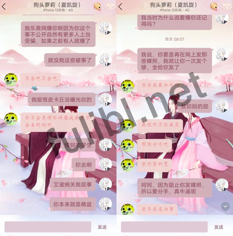 清纯系网红@狗头萝莉 近期的新瓜续作合集[72P+163V/529M]