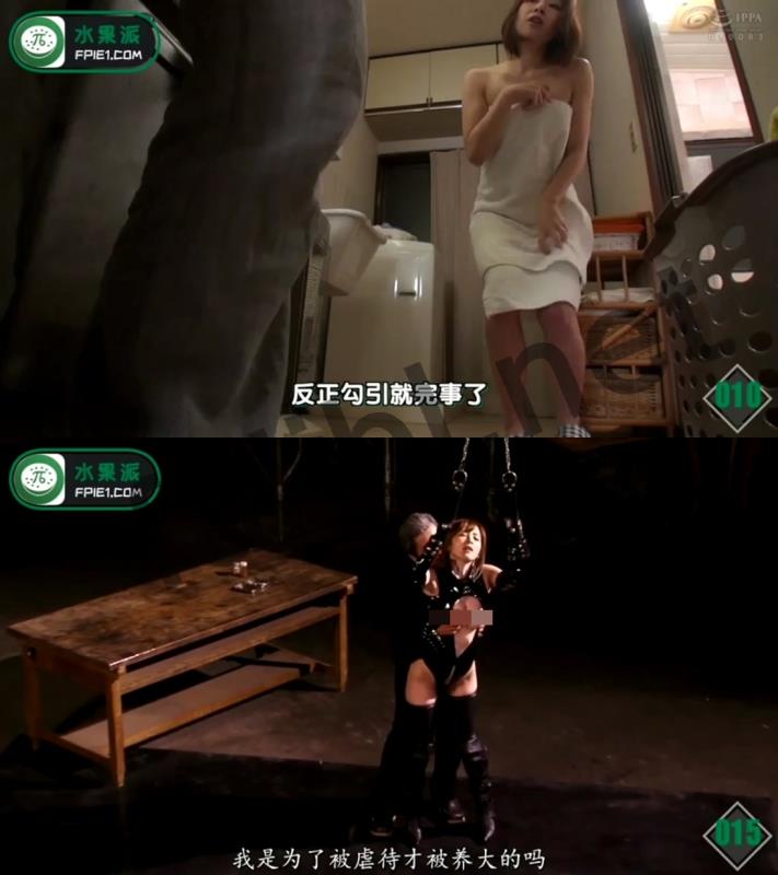 喜闻乐见系列第118弹之 正经解说AV[60V/3.50G]