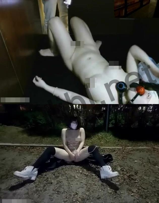 喜闻乐见系列第122弹之 在网吧户外直播的岛国少女们[12V/3.93G]