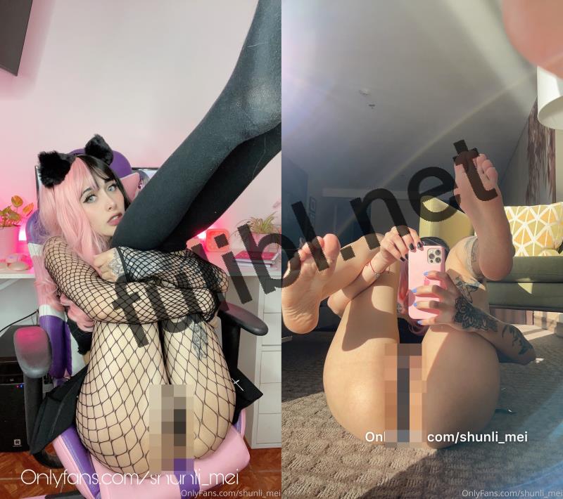 高质量网红@Shunli_mei  OnlyFans尺度私拍视图合集[406P+73V/2.60G]