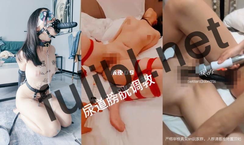 [推荐]超强调教大佬@永夜 尺度作品合集[97P+122V/10.4G]
