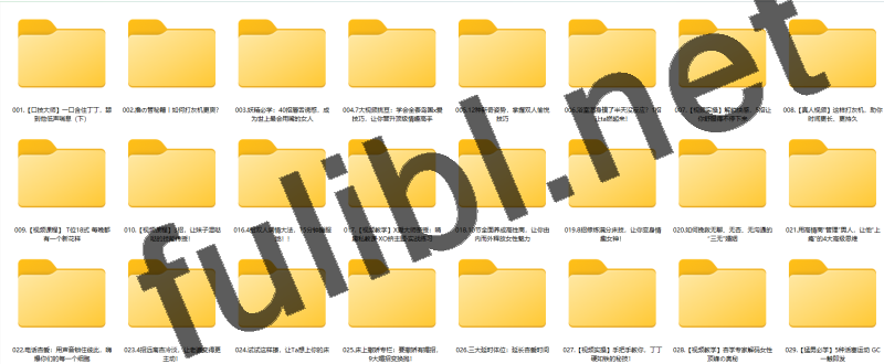 [长知识]趣豆学堂 男女性爱保养延迟高潮秘籍[6P+86mp3+86V/10.1G]